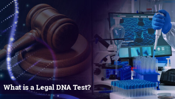 Know About Legal Dna Testing Services In India 0172