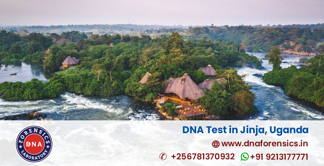 DNA Test in Jinja
