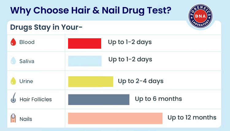 Hair and Nail Drug Test