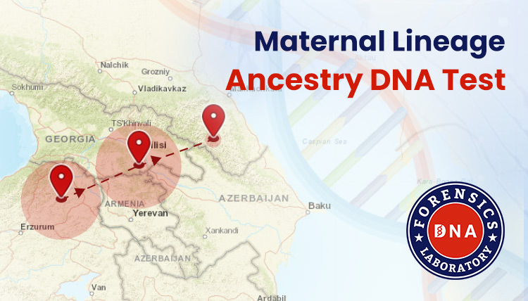 Ancestry Testing