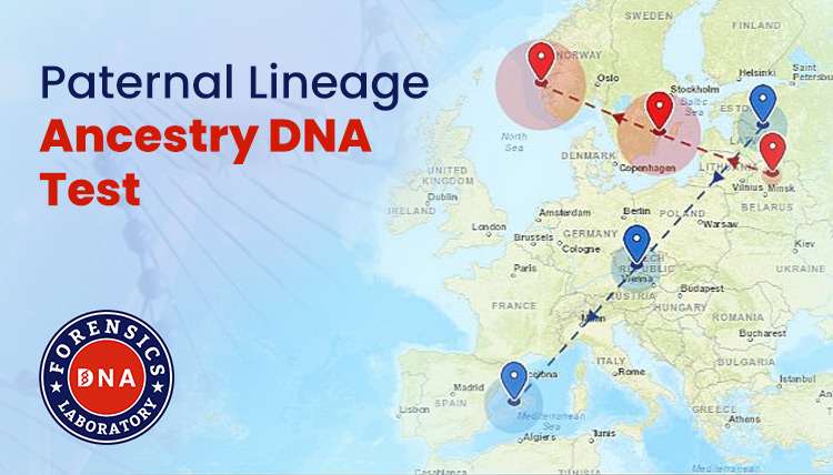 Ancestry Testing
