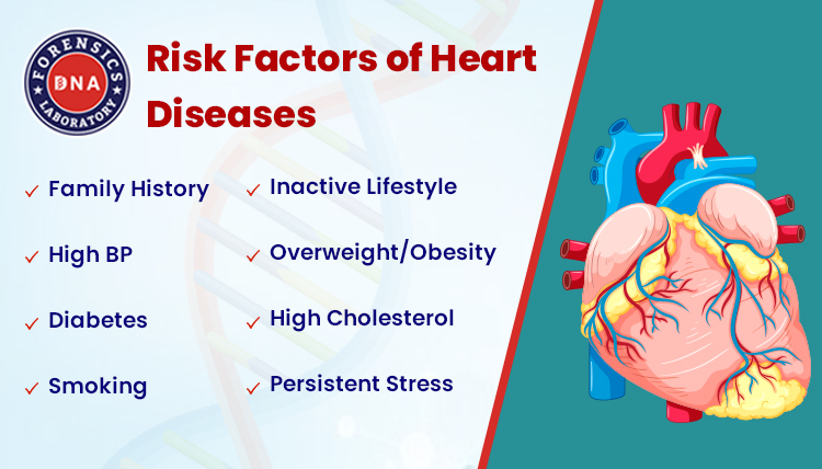 Risk Factors of Heart Diseases