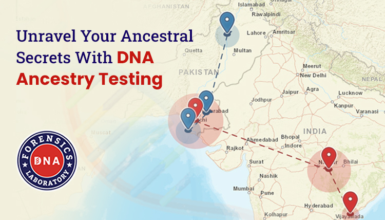 Ancestry DNA Testing: Map Your Genetic History