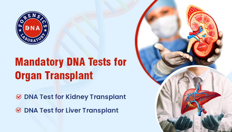 Kidney Organ Transplant DNA Test